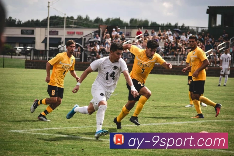 九游娱乐官网服务体系